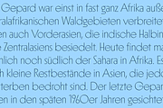 Suecia, a Sans Serif Font by Haus Type (Thumbnail 6 of 7)