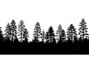Woodland & Forest Tree Silhouettes B, an Illustration by jahid234 (Thumbnail 33 of 41)