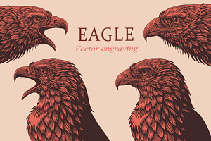 Design set Eagle. Vector engraving