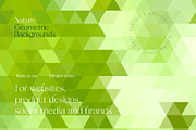 Nature Background Geometric Set, a Pattern Graphic by Tori Design (Thumbnail 5 of 7)