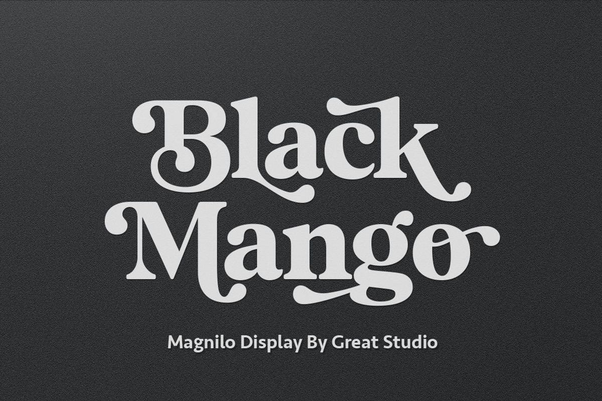 Magnilo Display, a Serif Font by Mulkan Nazir (Photo 10 of 18)
