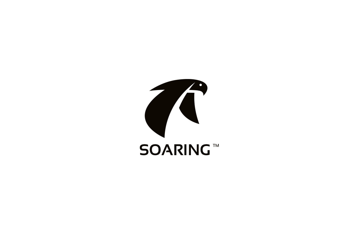 Soaring logo, a Branding & Logo Template by Flipside Design (Photo 2 of 2)