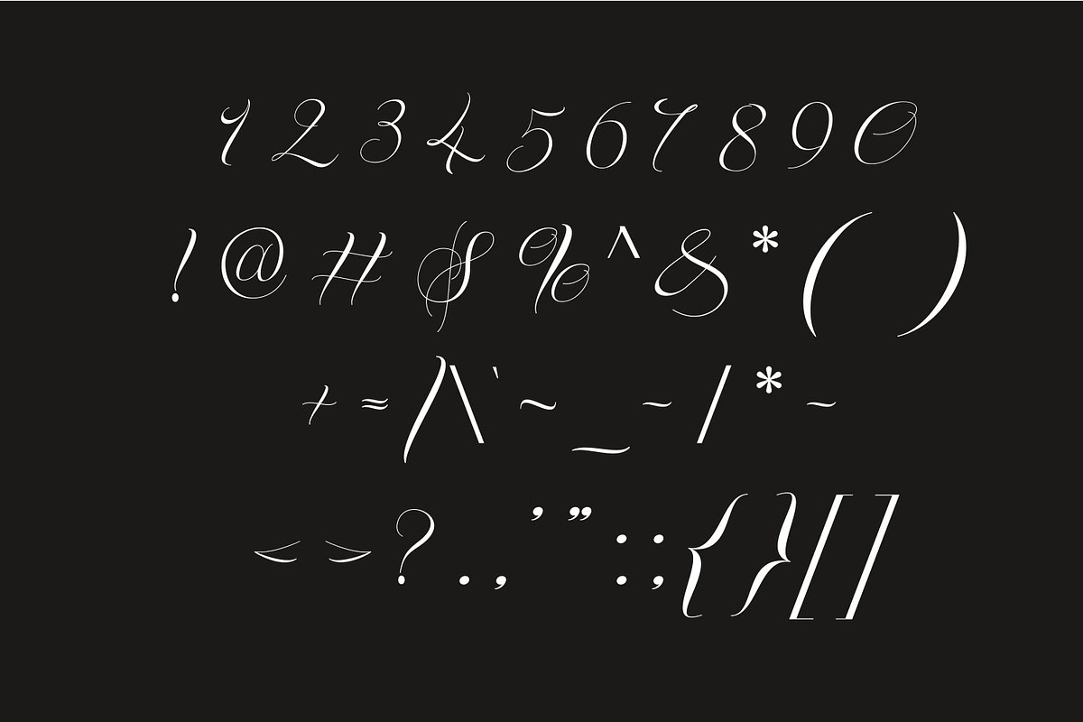 Palominey Wedding Script Font, a Script Font by WhymoreArt (Photo 10 of 10)