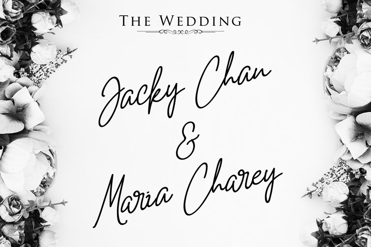 White Star - Chic Handwritten Font, a Script Font by din-studio.com (Photo 4 of 8)