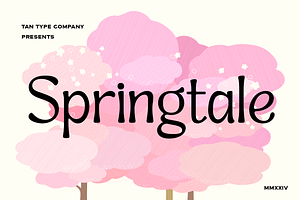 TAN - SPRINGTALE, a Serif Font by TanType