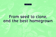 Osaca, a Sans Serif Font by Rosario Nocera (Thumbnail 12 of 12)