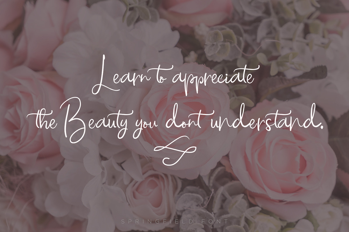 Springfield Font Duo preview 5