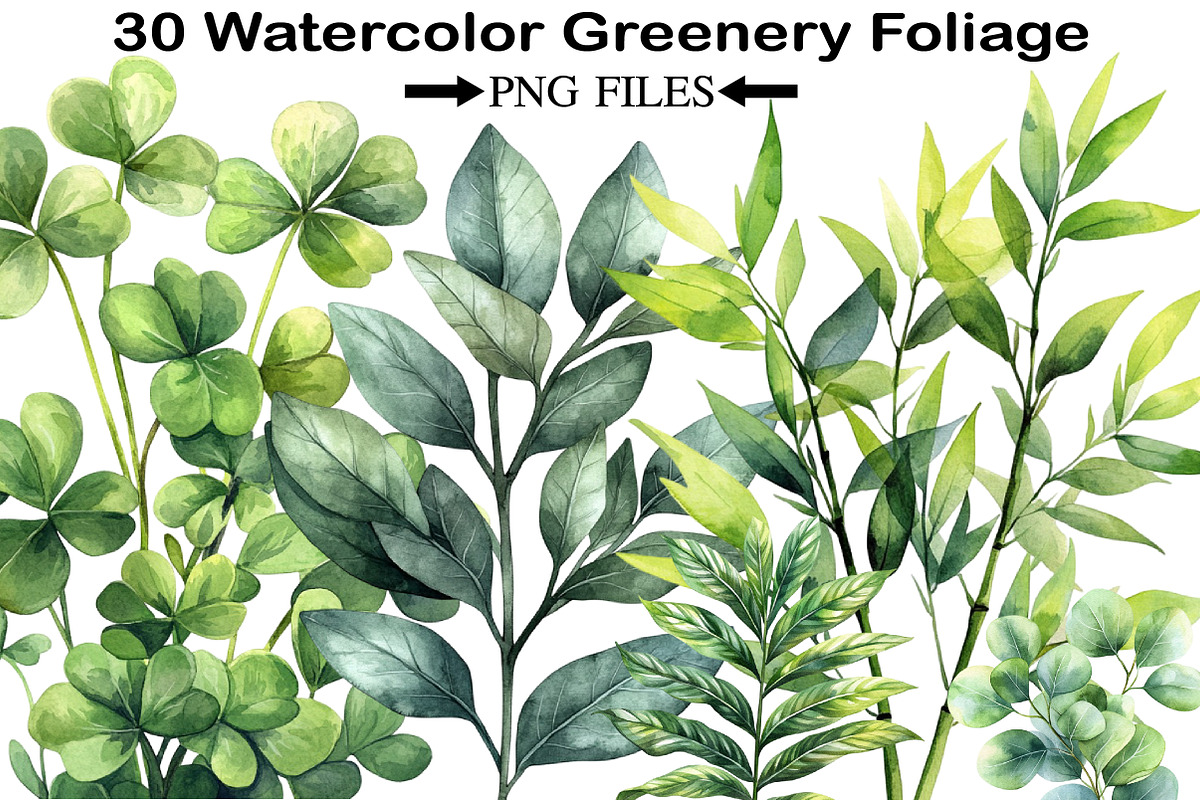 Watercolor Greenery Foliage Clipart, an Illustration by Black Bird Studio (Photo 1 of 5)
