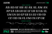 Soullar Typeface, a Serif Font by alit design (Thumbnail 16 of 20)