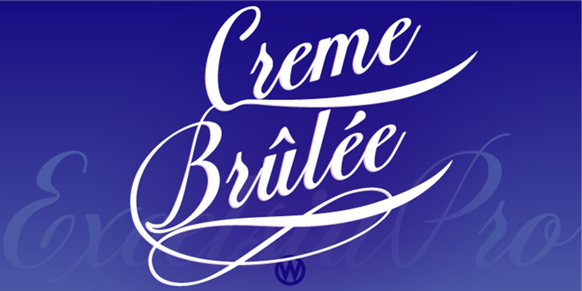 Excelsia Pro, a Script Font by Wiescher-Design (Photo 2 of 11)