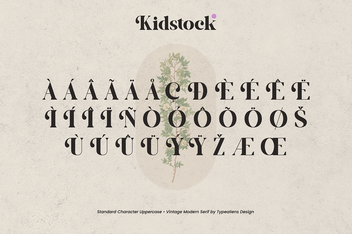 Kidstock, a Serif Font by ilhamtaro (Photo 9 of 11)