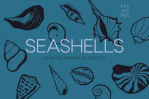 Seashells Hand drawn vector elements
