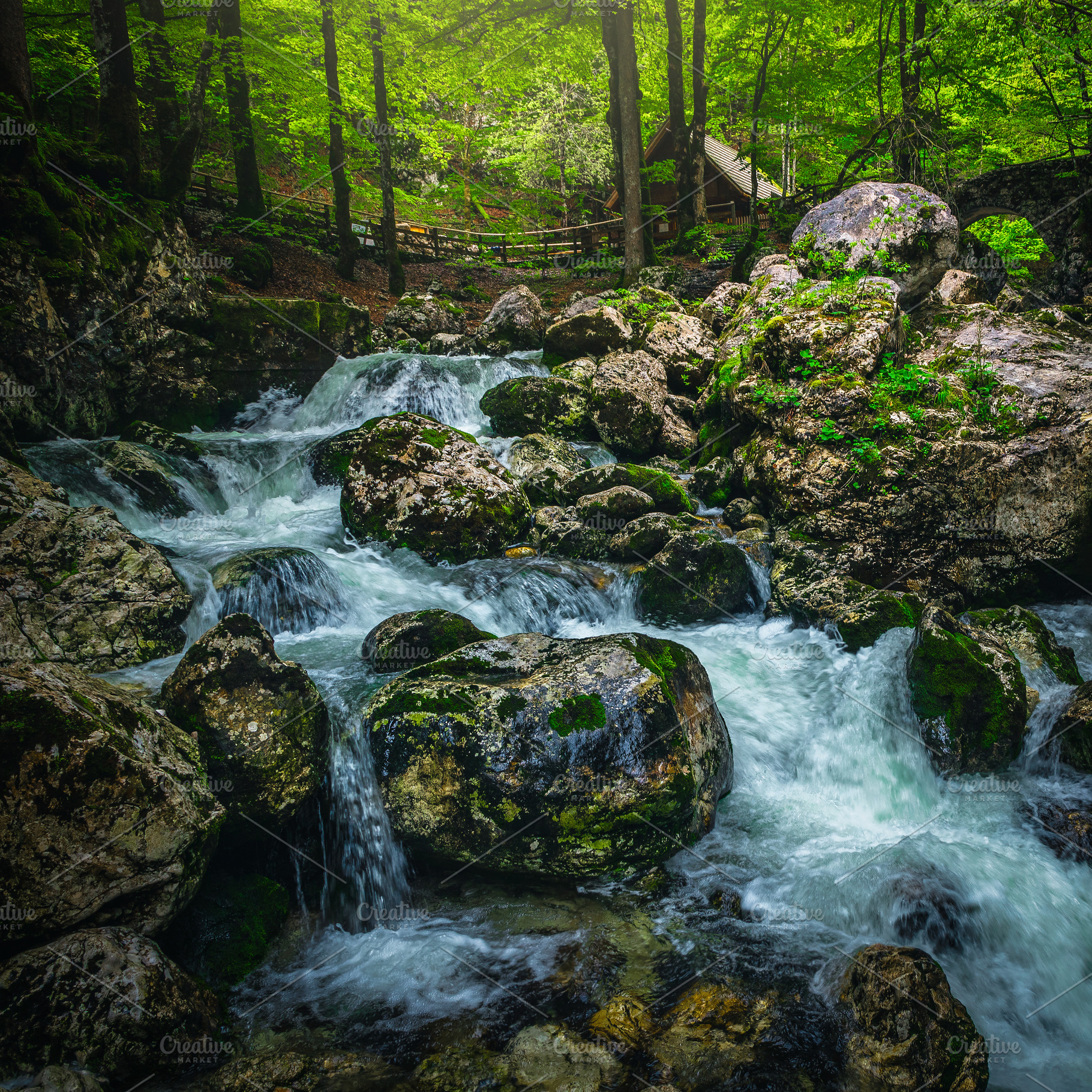 Creek with cascades in the forest, a Nature Photo by Alpine Dreams