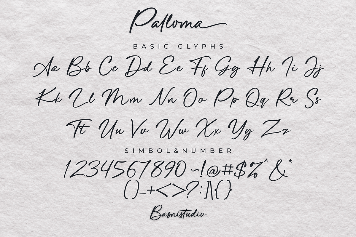 Palloma a Signature Font, a Handwritten Font by Basnistudio (Photo 14 of 17)