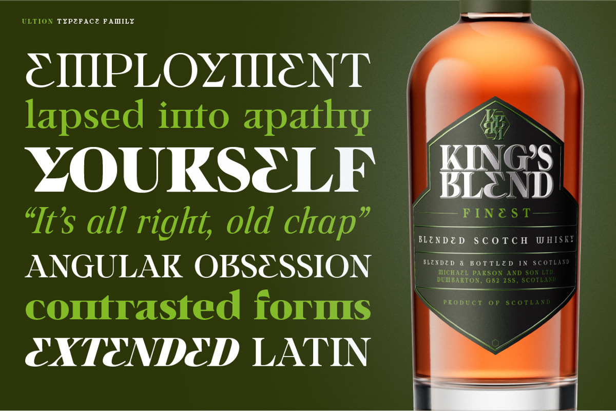 Ultion, a Serif Font by Typogama (Photo 8 of 16)