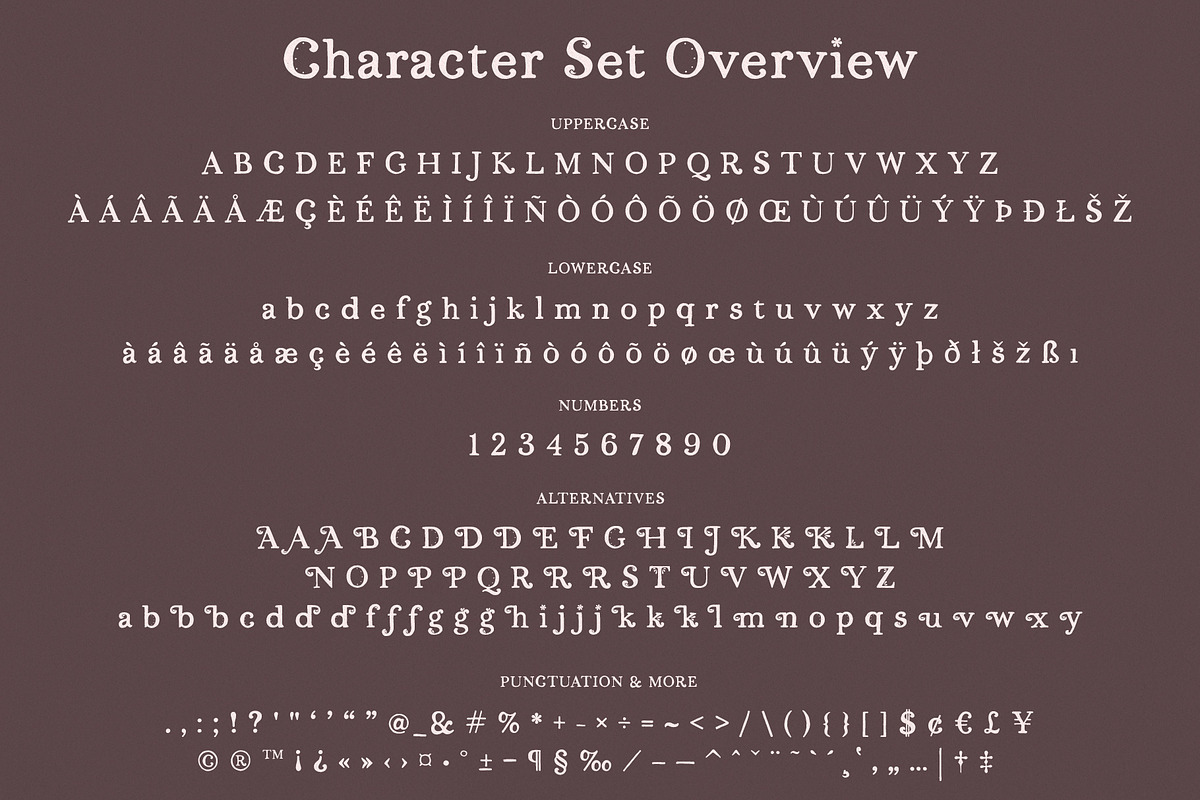 Persephone // A Hand-Drawn Serif, a Serif Font by Megs Lang (Photo 24 of 25)