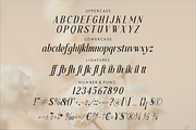 Blafhy Glibs A Modern Serif Font, a Serif Font by Storytype Studio (Thumbnail 14 of 15)