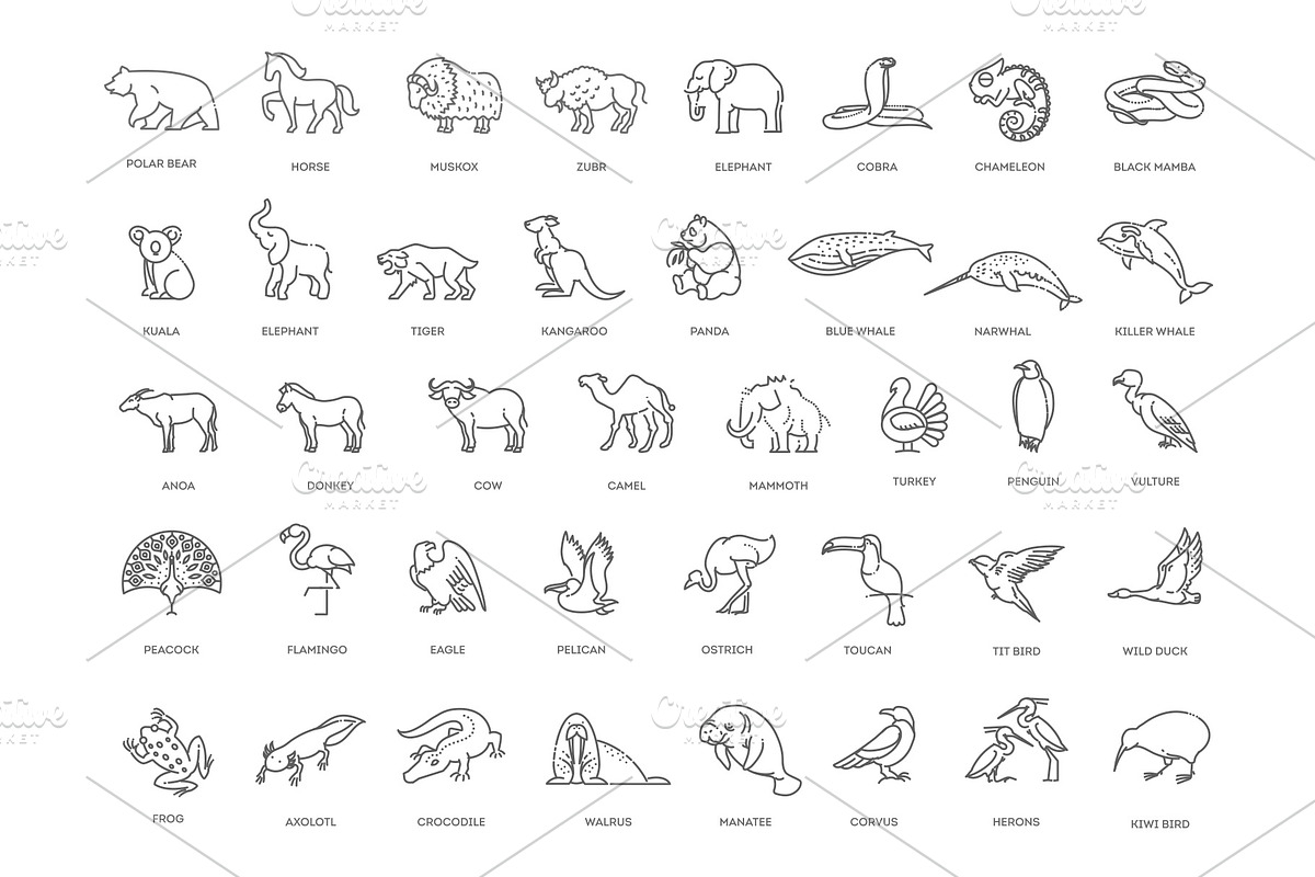 Animal icons. Vector icon set, an Animal Illustration by Tettygreen (Photo 3 of 3)