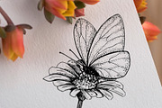 Butterfly. Hand-drawn sketch., an Illustration by Canatic (Thumbnail 4 of 6)