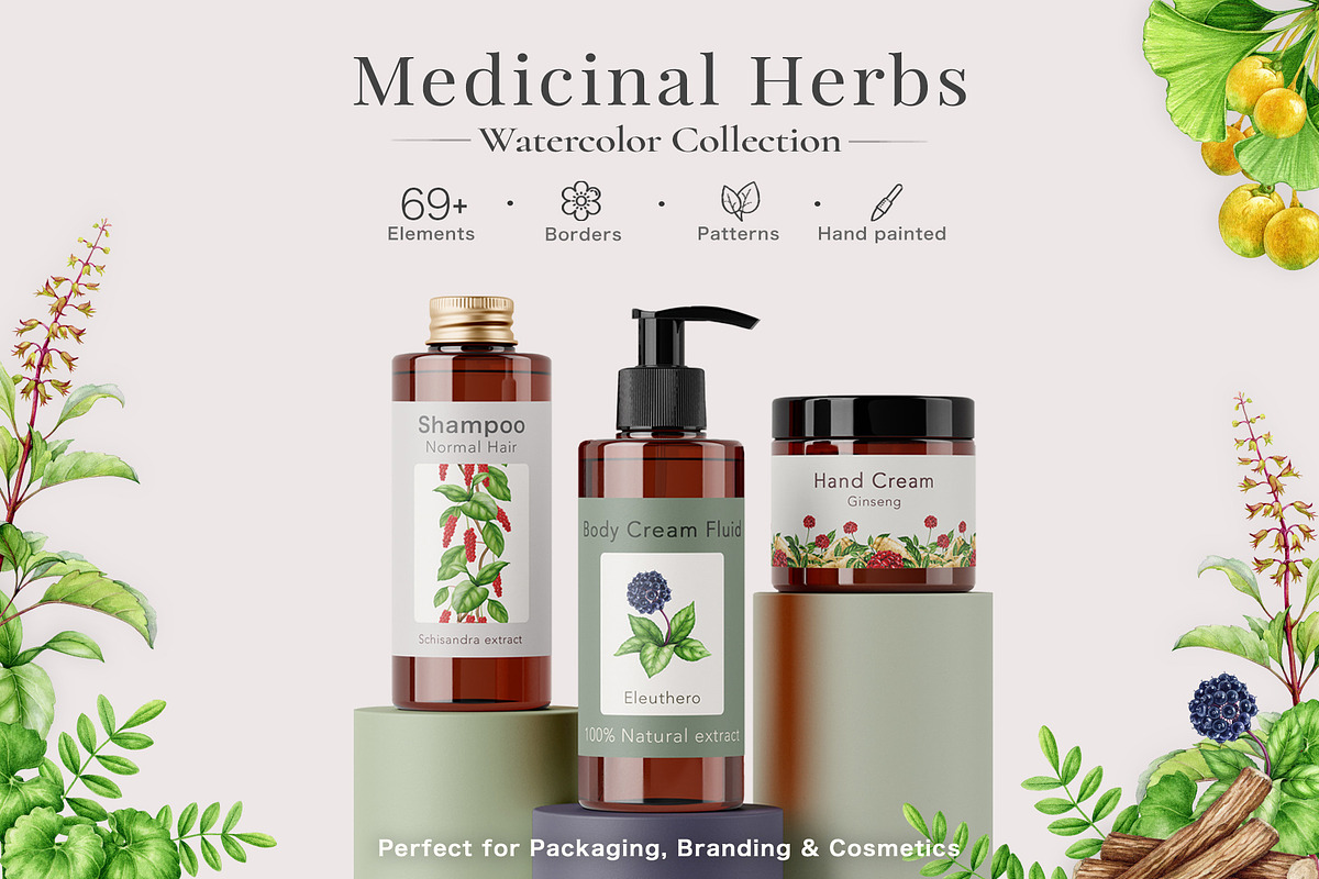 Medicinal Herbs Watercolor Clipart, a Healthcare Illustration by AnitaPol (Photo 9 of 11)