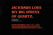 American Frights - Horror Serif Font, a Serif Font by The Branded Quotes (Thumbnail 7 of 7)