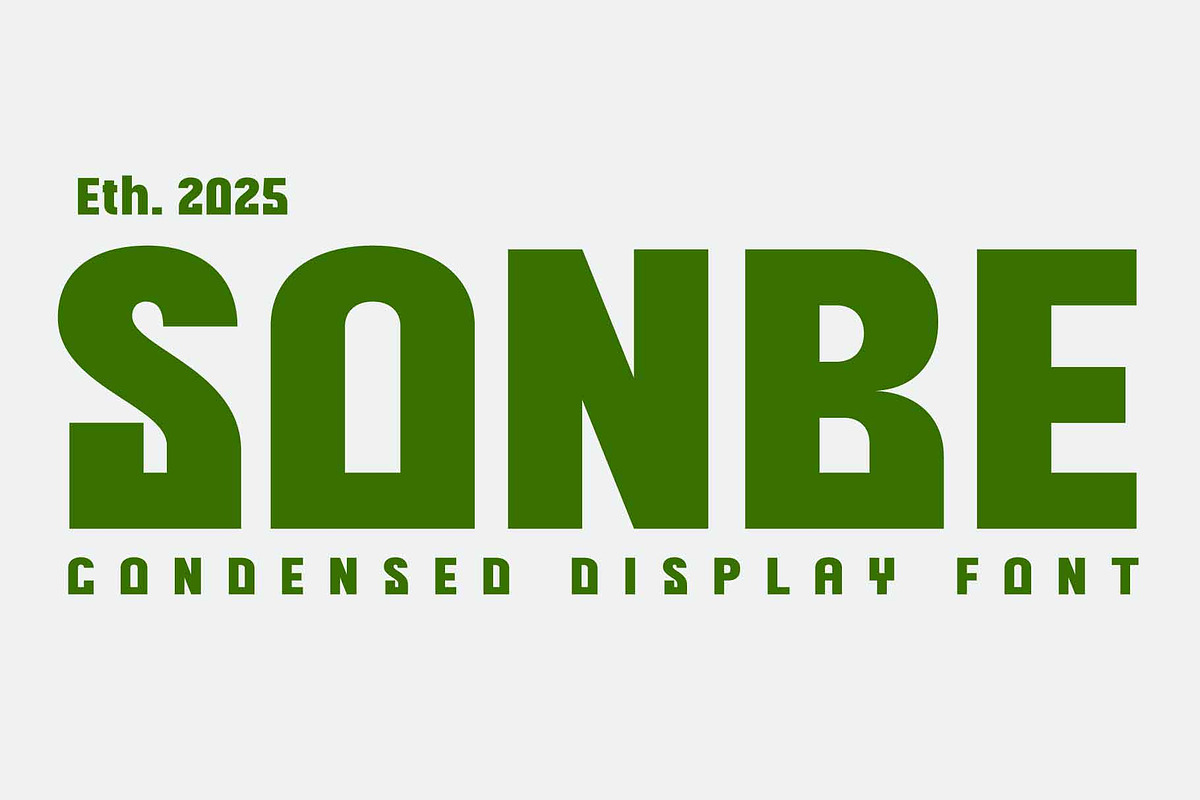 Sonbe Heavy Display, a Font by AuthenType (Photo 1 of 9)