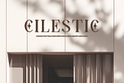 Rachia || Modern Stylish Serif Font, a Serif Font by Ermedia Studio (Thumbnail 3 of 10)