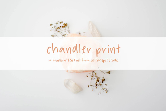 Chandler Print preview 6