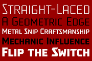 Tradesman SC Family, a Sans Serif Font by GRYPE (Thumbnail 2 of 3)