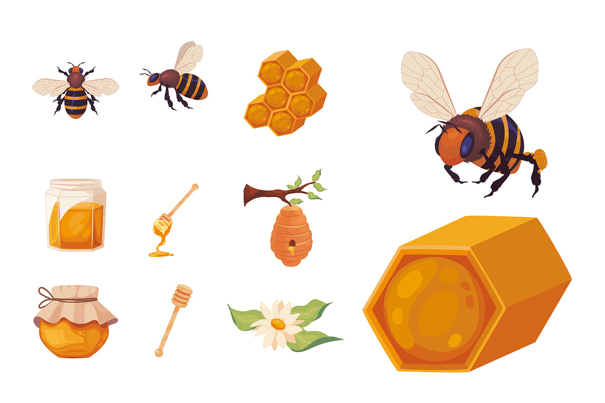 Bees & Honey Vector Set