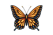 Realistic Orange and Black Butterfly, an Animal Illustration by Ghagra (Thumbnail 2 of 3)