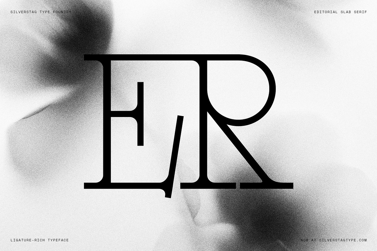 Alorisse – Editorial Ligature Font, a Font by SilverStag Type Foundry (Photo 5 of 20)