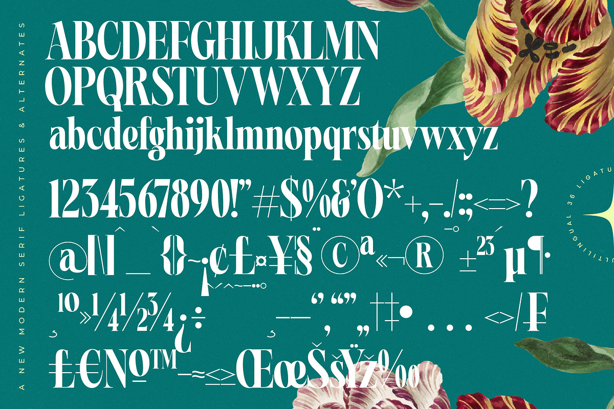 Magiction Modern Serif Display, a Serif Font by timelesstype.co (Photo 18 of 20)