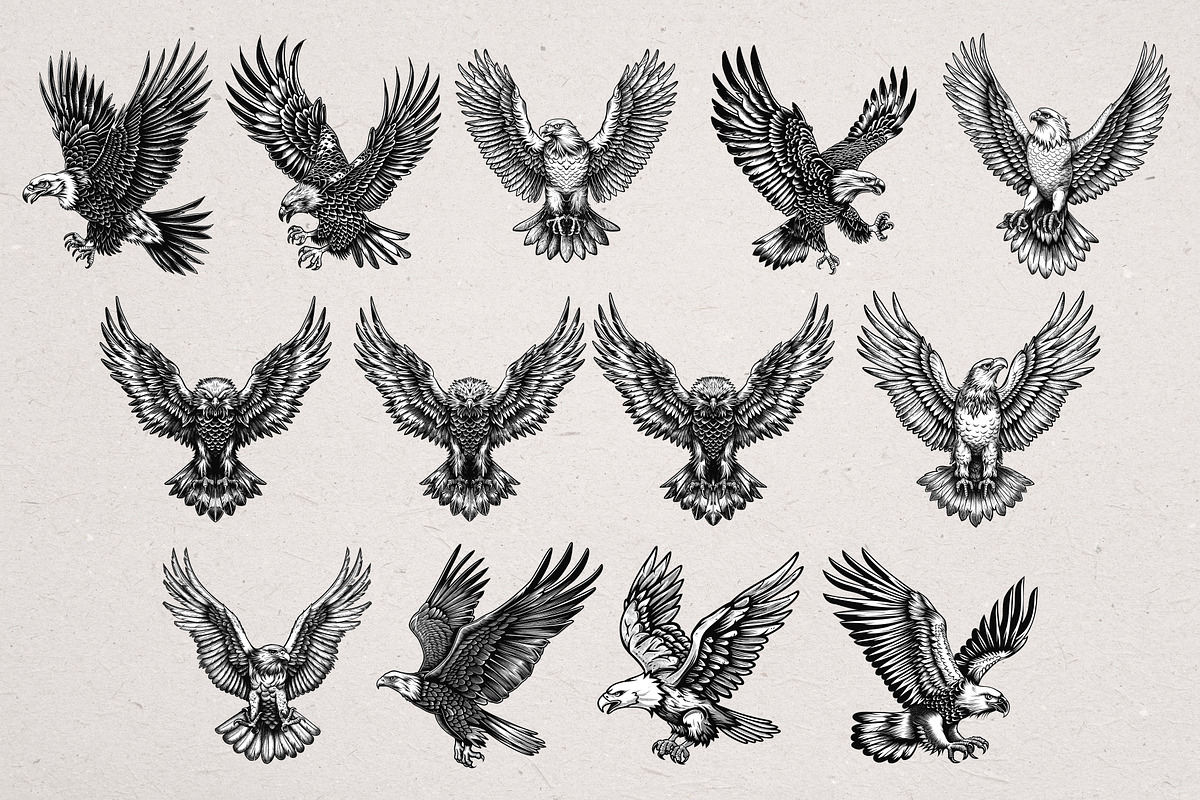 36 Eagle Vector Illustrations, an Animal Illustration by Alternate Studio (Photo 6 of 7)