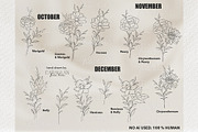Birth Flowers Outline Stamps, a Brush Add-On by CaraulanStore (Thumbnail 7 of 9)