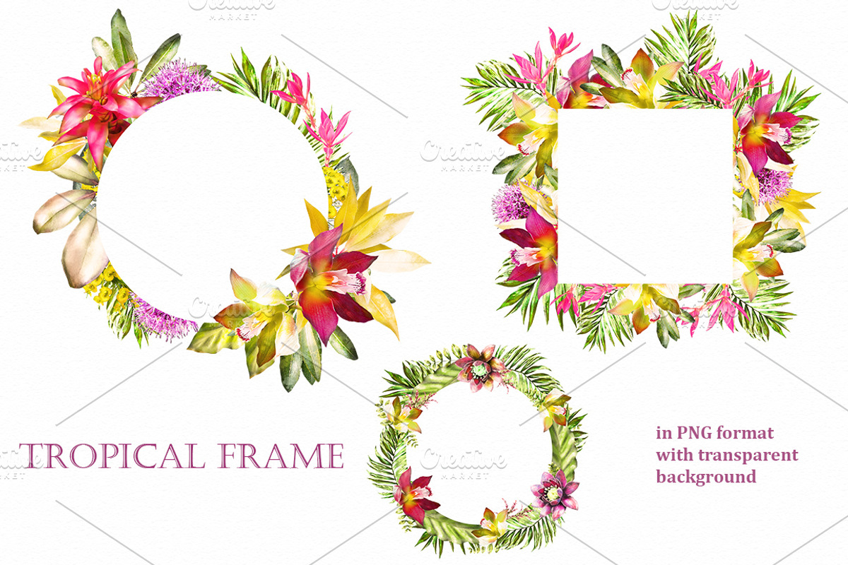 Tropical collection. Summer design., a Decorative Illustration by Lisima (Photo 15 of 19)