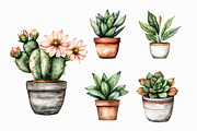 Watercolor Home Plants Clipart, an Illustration by Libby Wishes (Thumbnail 3 of 4)