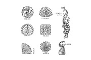 Peacock collection, ethnic style, an Animal Illustration by Kudryashka (Thumbnail 2 of 2)