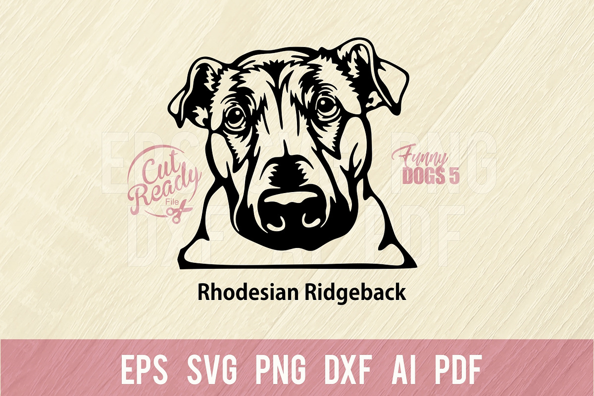 Rhodesian Ridgeback Svg, Peeking Dog, an Animal Illustration by Digital ...