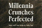 Lignis, a Serif Font by Zafiratype (Thumbnail 12 of 15)