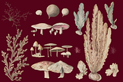 Distribution of English Plants, a Decorative Illustration by Lilithcollageart (Thumbnail 4 of 8)