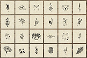150 Hand Drawn Elements -Nature III-, an Animal Illustration by Michael Rayback Design (Thumbnail 7 of 15)