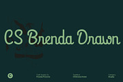 CS Brenda Drawn, a Script Font by Craft Supply Co. (Thumbnail 1 of 8)