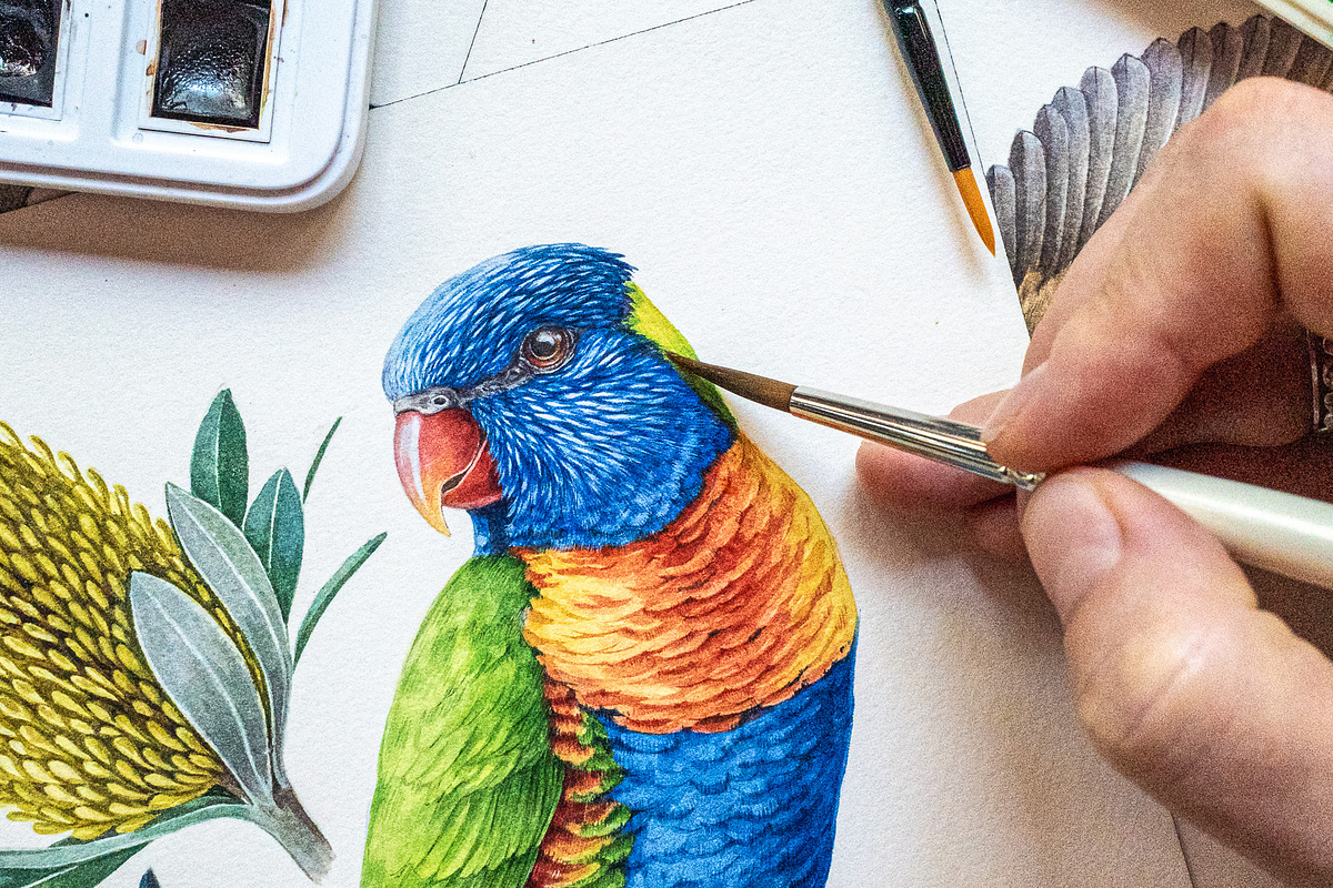 Australia Flora Fauna Clipart, an Animal Illustration by AnitaPol (Photo 9 of 27)