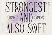 Cherola Typeface, a Serif Font by alit design (Thumbnail 4 of 15)
