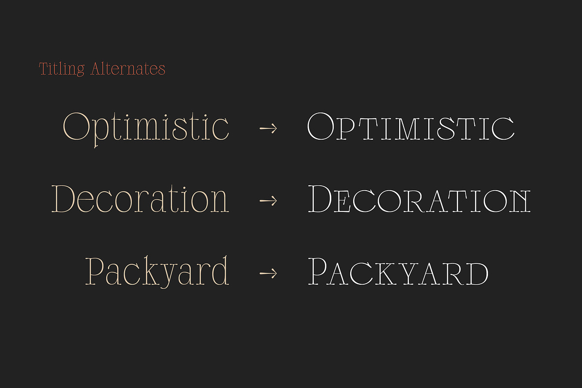 Scottsdale Serif preview 6