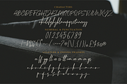 Lumberton - Authentic Signature, a Handwritten Font by MJB Letters (Thumbnail 11 of 11)