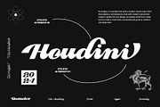 Dv Audley, a Script Font by Damelev (Thumbnail 7 of 15)