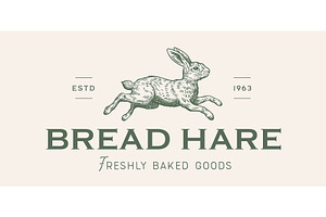 Hare, rabbit sketch
