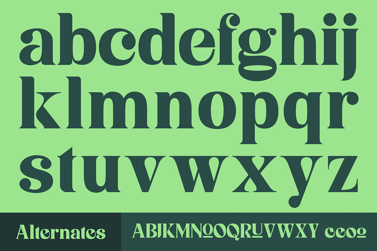 Niecher-Serif Display, a Serif Font by takoliko (Photo 10 of 13)